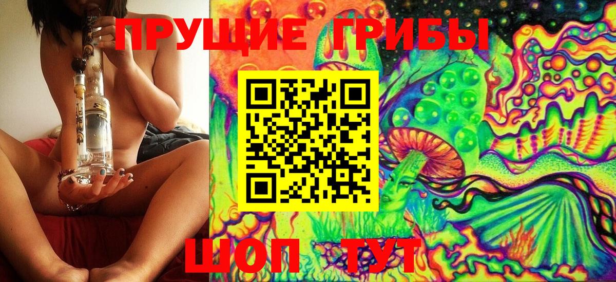 Псилоцибиновые грибы Psilocybe  Вход с VPN  Псилоцибиновые грибы Cubensis  Кимры 