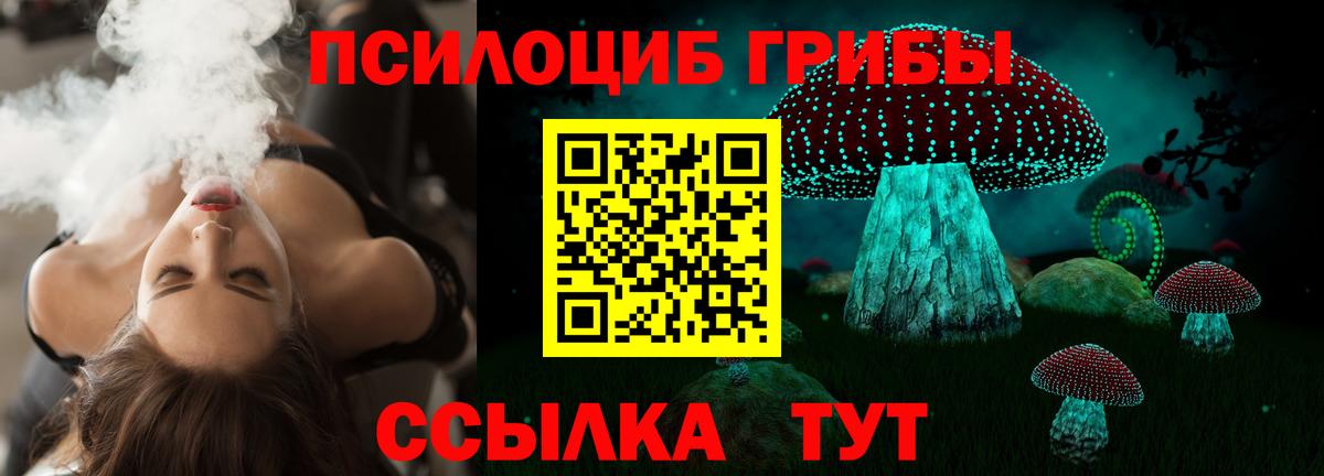 Галлюциногенные грибы GOLDEN TEACHER Кимры